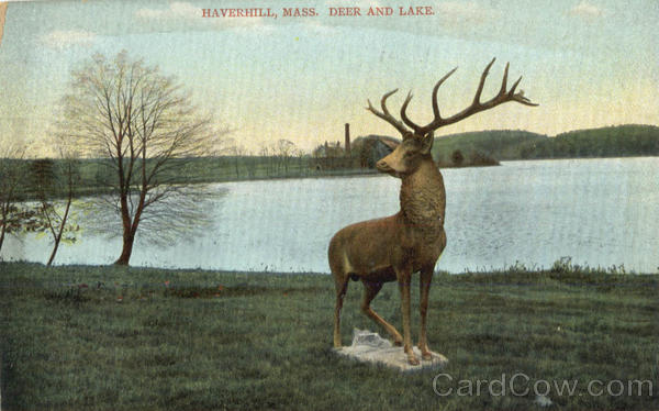 Deer And Lake Haverhill Massachusetts