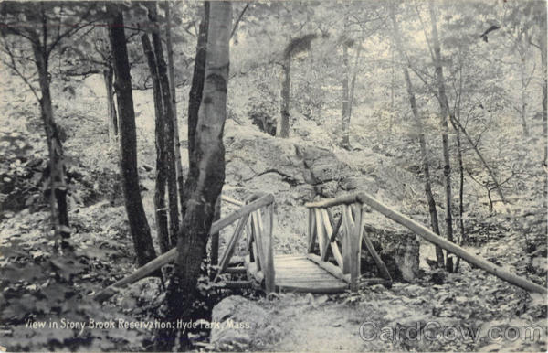 View in Stony Brook Reservation Hyde Park Massachusetts