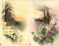 Lot of 2: Tuck's Art Series Postcard