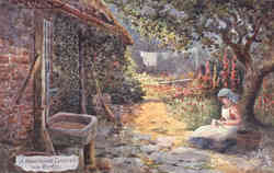 Tuck's Oilette A Hampshire Garden near Burton Postcard