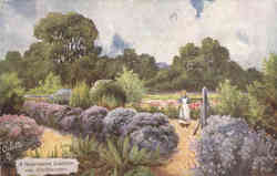 Tuck's Oilette A Hampshire Garden near Southbourne Tuck's Oilette Series Postcard Postcard