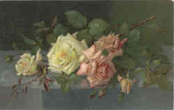 Tuck's Art Series Flowers Postcard