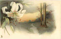 Tuck's Art Series Postcard