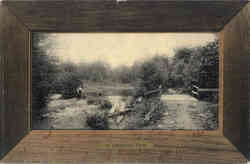 In Caledonia Park Postcard