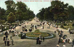 Central Avenue, Belle Isle Park Postcard