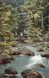 Chocorua River and Bridge Postcard