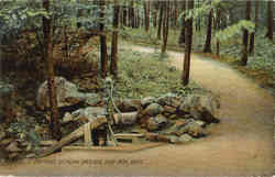 Entrance to Picnic Grounds Postcard