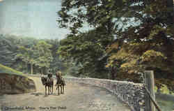 Bear's Den Road Greenfield, MA Postcard Postcard