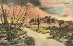 The Mounty Superstition Mountains on Apache Trail Postcard