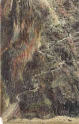 The Corkscrew Trail Grand Canyon Postcard