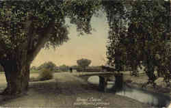 Grand Canal Postcard