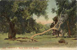 Rural Scene near Nogales Arizona Postcard Postcard