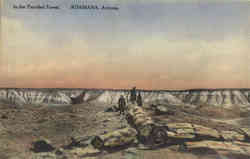 In the Petrified Forest Postcard