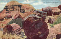 Petrified Forests Petrified Forest National Park, AZ Postcard Postcard