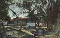 A Ranch Scene Postcard