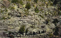 Cape Horn Bright Angel Trail Postcard