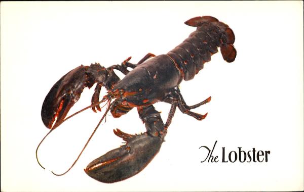 The Lobster, 145 W. 45th New York