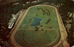 In The Adirondacks Postcard