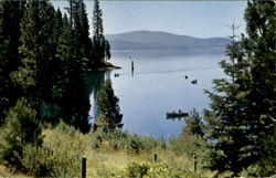 Fishing At Lake Almanor, Lake Almanor Postcard
