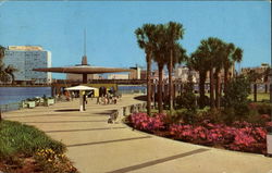 St. Johns River Park And Marina Postcard