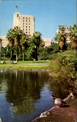 Elks Club From General Douglas Mac Arthur Park Postcard