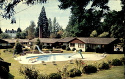 Redwood Park Motel, 141 Gorge Rd. East Postcard