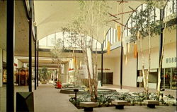 Edgewater Plaza Mall Postcard