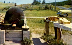 Anse A Mercier Postcard