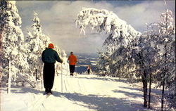 Sno-Bowl Area, Mt. Sunapee New Hampshire Postcard Postcard