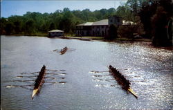 Carnegie Lake, Princeton University Postcard