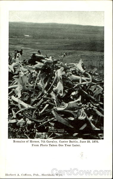 Remains Of Horses Custer Battle Military