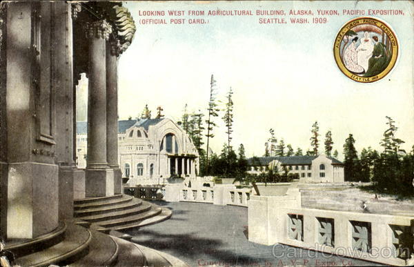 Looking West From Agricultural Building Seattle Washington