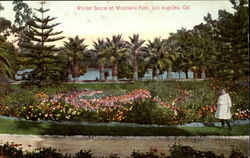 Winter Scene At Westlake Park Postcard