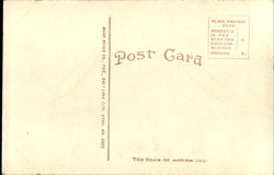 back
