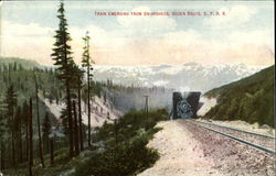 Train Emerging From Snowsheds, Ogden Route, S. P. R. R. Postcard