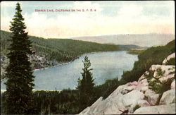 Donner Lake, S. P. R. R California Postcard Postcard