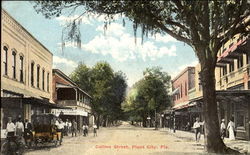 Collins Street Plant City, FL Postcard Postcard