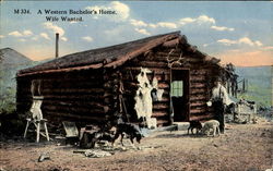 A Western Bachelor's Home, Wife Wanted Postcard
