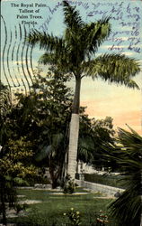 The Royal Palm Scenic, FL Postcard Postcard