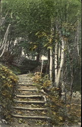 Lover's Lane Postcard