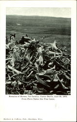 Remains Of Horses Custer Battle Postcard