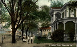 On Calhoun Street Tallahassee, FL Postcard Postcard