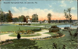 Beautiful Springfield Park Postcard