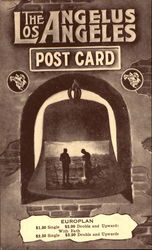 The Angelus Hotel Postcard