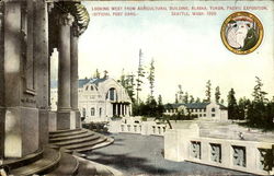 Looking West From Agricultural Building Postcard