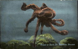 Octopus Or Squid Postcard
