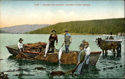 Seining For Salmon Scenic, OR Postcard Postcard