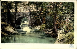 Bridge In Cherokee Park Postcard
