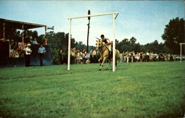 Jousting Waldorf Maryland