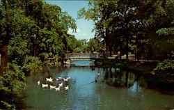 Glen Miller Park Lagoon Postcard